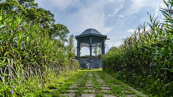 山頂花園建於20世紀初，是舊港督別墅的花園（已拆除）。花園按照當時的古典歐洲風格設計，華麗的涼亭採用了經典的維多利亞風格，融合了鍛鐵籬笆和彎曲的圓頂屋頂。